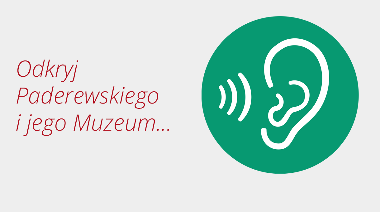 zoom przewodniki audio