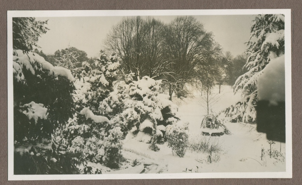Photographie du jardin de la propriété de Riond-Bosson en 1935 sous la neige