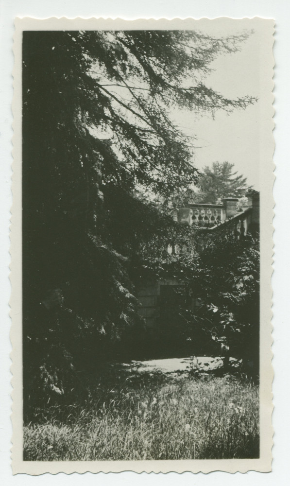 Photographie d'une portion de barrière de la terrasse sud de la villa de Riond-Bosson, partiellement dissimulée par des arbres – extraite d'un album de la famille Obuchowicz