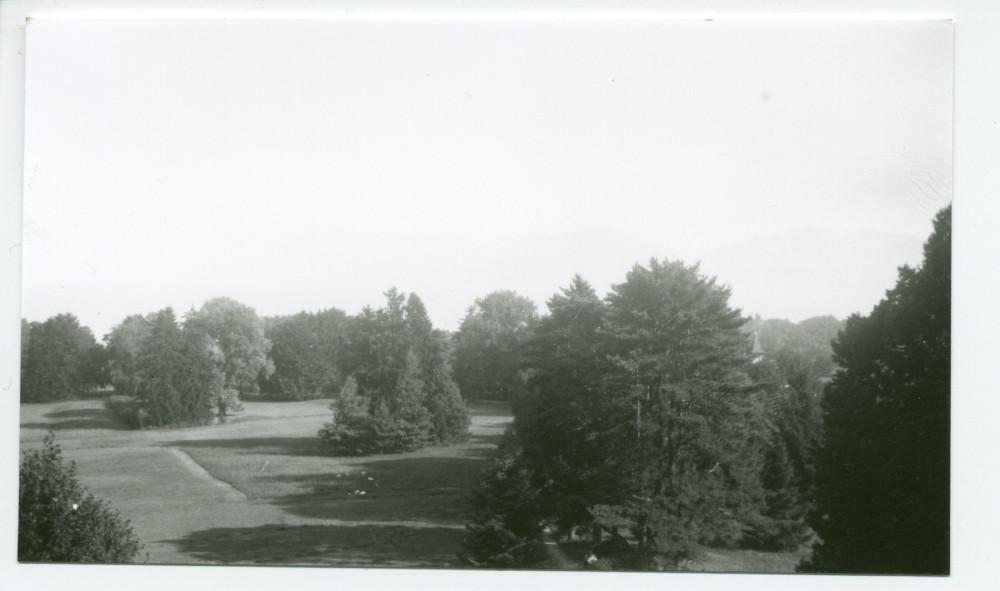 Photographies d'arbres du parc de la propriété de Riond-Bosson (a-e)
