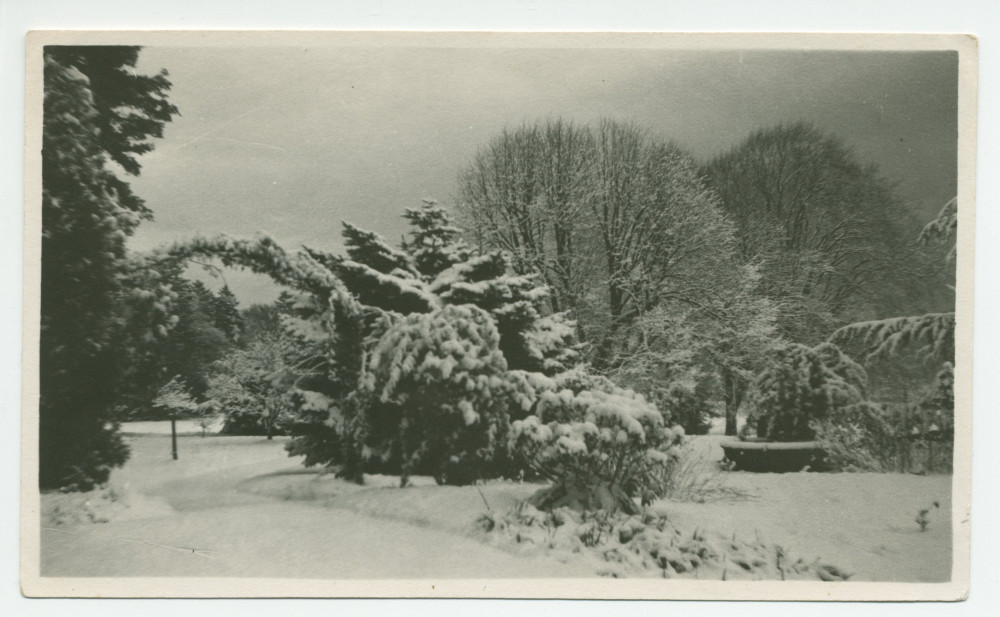 Photographie du parc de la propriété de Riond-Bosson sous la neige – extraite d'un album de la famille Obuchowicz