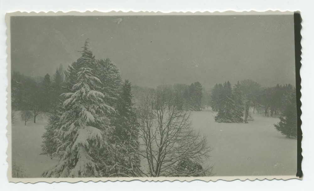 Photographie du parc de la propriété de Riond-Bosson sous la neige, prise en direction du lac (sud) – extraite d'un album de la famille Obuchowicz