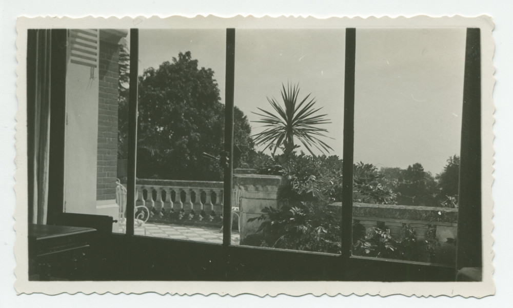 Photographie de la terrasse (avec palmier) de la villa de Riond-Bosson, prise depuis l'intérieur – extraite d'un album de la famille Obuchowicz