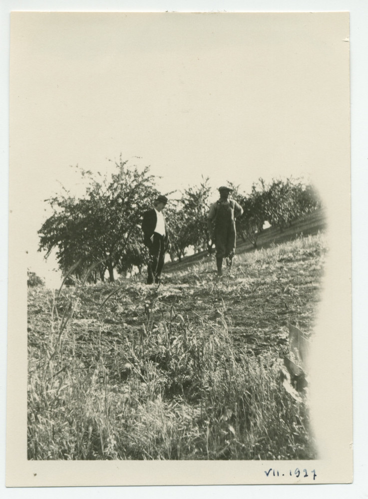 Photographie de Paderewski en compagnie d'un métayer (?) devant les rangées d'amandiers de son «Rancho San Ignacio» à Paso Robles, en Californie, en juillet 1921