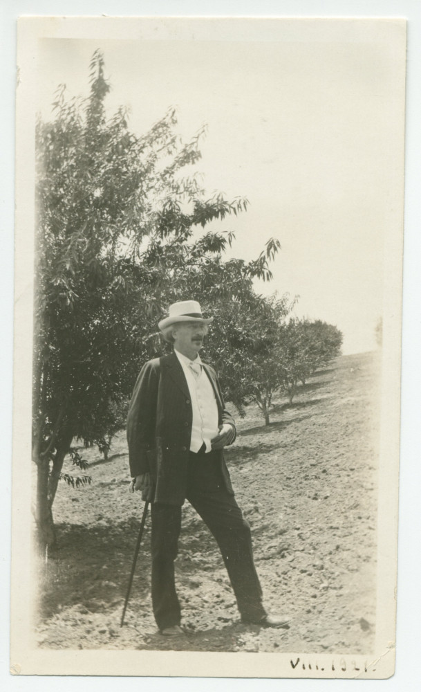 Photographie de Paderewski en lisière d'une rangée d'amandiers dans son «Rancho San Ignacio» à Paso Robles, en Californie, en août 1921