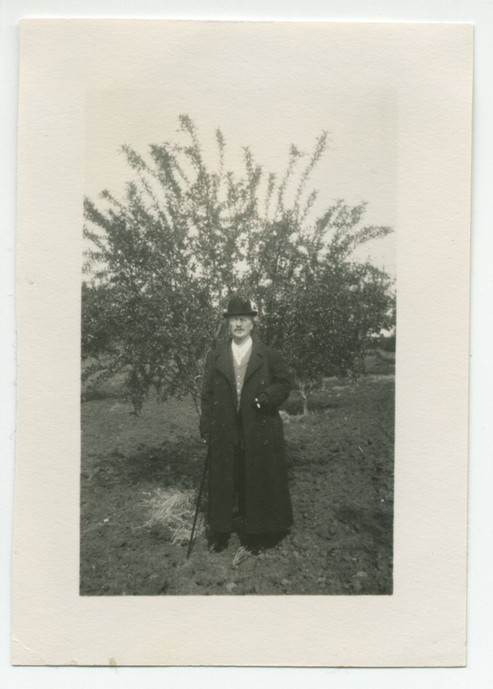 Photographie de Paderewski avec une canne devant un arbre à Paso Robles, en Californie, en 1921