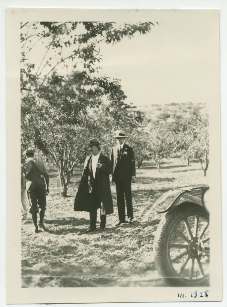 Photographie de Paderewski au milieu des amandiers de son «Rancho San Ignacio» à Paso Robles, en Californie, en mars 1928, en compagnie de Mr Fitzgerald