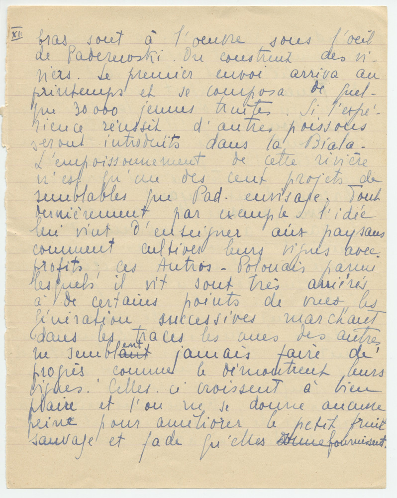 Reproduction manuscrite de divers articles de presse sur Paderewski (sans réf. claires la plupart du temps) par Lydia Opienska-Barblan (probablement tirés d'un pressbook)
