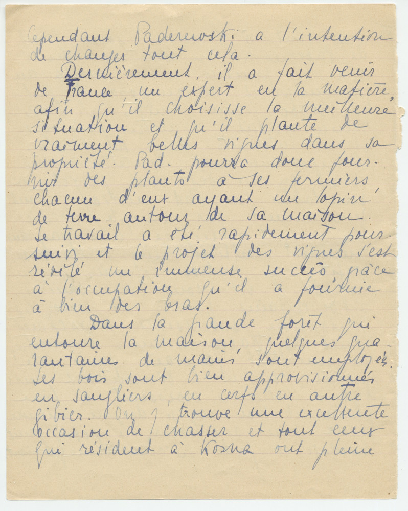 Reproduction manuscrite de divers articles de presse sur Paderewski (sans réf. claires la plupart du temps) par Lydia Opienska-Barblan (probablement tirés d'un pressbook)