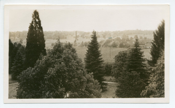 Photographie d'arbres du parc de la propriété de Riond-Bosson, avec maison en arrière-plan, depuis la terrasse du premier étage de la villa, sise côté sud