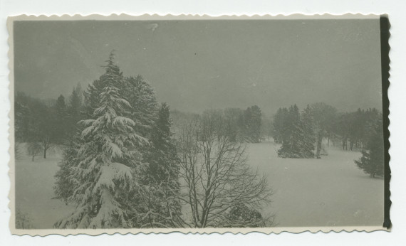 Photographie du parc de la propriété de Riond-Bosson sous la neige, prise en direction du lac (sud) – extraite d'un album de la famille Obuchowicz