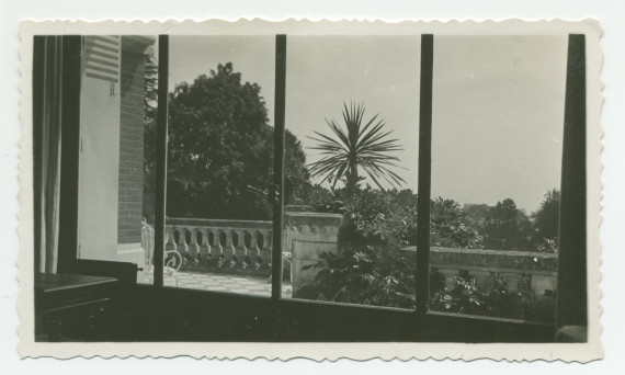 Photographie de la terrasse (avec palmier) de la villa de Riond-Bosson, prise depuis l'intérieur – extraite d'un album de la famille Obuchowicz