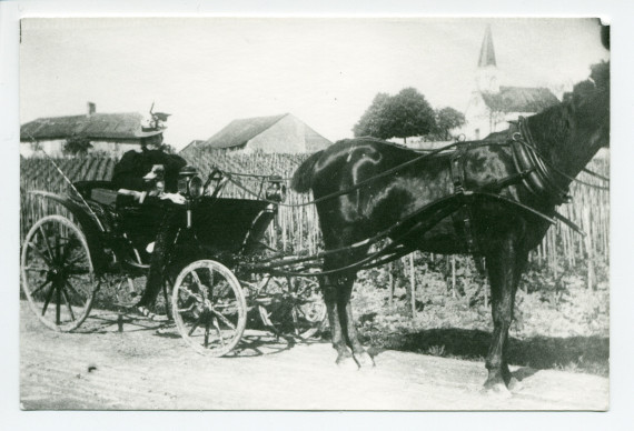 Photographie d'Hélène Paderewska conduisant un landau dans les vignes proches de Riond-Bosson
