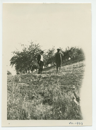 Photographie de Paderewski en compagnie d'un métayer (?) devant les rangées d'amandiers de son «Rancho San Ignacio» à Paso Robles, en Californie, en juillet 1921