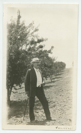 Photographie de Paderewski en lisière d'une rangée d'amandiers dans son «Rancho San Ignacio» à Paso Robles, en Californie, en août 1921