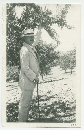 Photographie de Paderewski sous un amandier dans son «Rancho San Ignacio» à Paso Robles, en Californie, en 1921