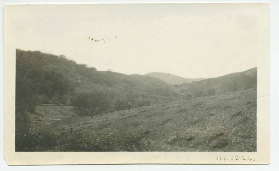 Photographie du vignoble du «Rancho Santa Helena» à Paso Robles, en Californie, en mars 1922