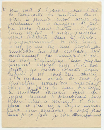 Reproduction manuscrite de divers articles de presse sur Paderewski (sans réf. claires la plupart du temps) par Lydia Opienska-Barblan (probablement tirés d'un pressbook)