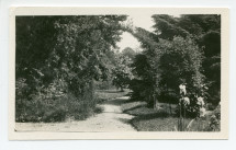 Photographie de l'allée menant à la fontaine de la propriété de Riond-Bosson