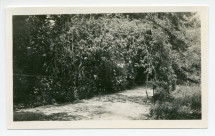 Photographie de l'allée menant au portail du bas de la propriété de Riond-Bosson