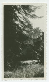 Photographie d'une portion de barrière de la terrasse sud de la villa de Riond-Bosson, partiellement dissimulée par des arbres – extraite d'un album de la famille Obuchowicz