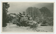 Photographie du parc de la propriété de Riond-Bosson sous la neige – extraite d'un album de la famille Obuchowicz