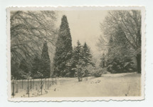 Photographie du parc de la propriété de Riond-Bosson sous la neige, avec la roseraie au premier plan – extraite d'un album de la famille Obuchowicz
