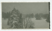 Photographie du parc de la propriété de Riond-Bosson sous la neige, prise en direction du lac (sud) – extraite d'un album de la famille Obuchowicz