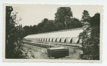 Photographie d'une serre de la propriété de Riond-Bosson, avec le toit du pigeonnier en arrière-plan – extraite d'un album de la famille Obuchowicz