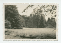 Photographie de la villa de Riond-Bosson prise depuis le sud-ouest, avec des arbres au premier plan – extraite d'un album de la famille Obuchowicz