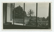 Photographie de la terrasse (avec palmier) de la villa de Riond-Bosson, prise depuis l'intérieur – extraite d'un album de la famille Obuchowicz
