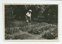 Photographie d'Ignace Obuchowicz (filleul de Paderewski) arrosant son potager dans le parc de Riond-Bosson, en 1934 – extraite d'un album de la famille Obuchowicz