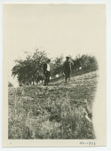 Photographie de Paderewski en compagnie d'un métayer (?) devant les rangées d'amandiers de son «Rancho San Ignacio» à Paso Robles, en Californie, en juillet 1921