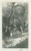 Photographie de Paderewski près de la source d'eau chaude de Merritt Springs, sur le «Rancho Santa Helena» à Paso Robles, en Californie, en 1921