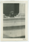 Photographie du chien Ping d'Hélène Paderewska à Paso Robles, en Californie, en 1921