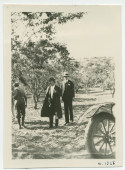 Photographie de Paderewski au milieu des amandiers de son «Rancho San Ignacio» à Paso Robles, en Californie, en mars 1928, en compagnie de Mr Fitzgerald